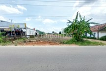 Lebih Cerdas, Beli Tanah Dulu Bangun Kemudian: SHM