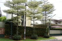 Jual Cepat Rumah Bagus 534M2 di Bukit Hijau Pondok Indah