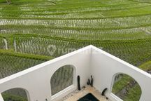 New Villa Disewakan di Pantai Nyanyi Beraban