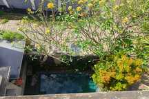 FOR RENT VILLA READY 3 BR FURNISHED STARTEGIS DI KAWASAN CANGGU PUSAT