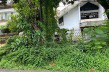 Rumah Tua Kebayoran Baru Dijual