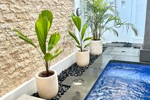 Rent/ Sewa New Villa At Kedungu Tabanan Bali Near Canggu