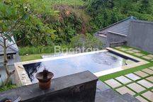 Disewakan  Villa  Dua Kamar Tidur  Full Furnish View Sawah Dan Sungai Di Bongan- Tabanan