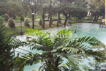 Dijual Villa SHM Di Trawas Mojokerto