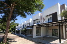 Green Bamboo Terrace