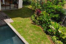 Brand New Villa Canggu 5 Minutes To The Beach Freehold