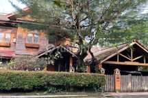Rumah Jati Cantik dengan Swimming Pool di Mega Cinere