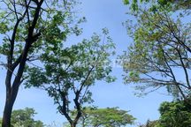 Disewakan Rumah 2 Lantai View Lapangan Golf di Taman Dayu Pandaan