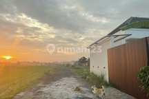 Villa Furnished di Kedungu, Bali