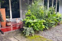 Rumah Asri Siap Huni Sayap Setiabudi Bandung Utara LT 400 M²