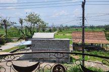 Di Sewakan Rumah Harga Rendah Siap Huni Purwomartani Sleman 