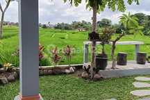 rumah Sewa View Sawah