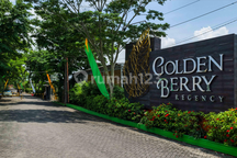 Golden Berry Regency