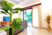 2 Bedroom Villa With Rice Field View Near Beach And Canggu (388V)