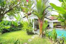 3 Bedroom Villa With Rice Field View Near Beach And Canggu (388V)