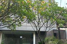 Disewakan Rumah Di Jalan Sinabung, Jaksel, Cocok Untuk Kantor