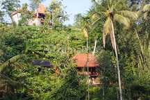 Joglo House At Babahan Tabanan Mountain View