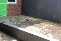 Rumah Siap Huni Di Komplek Perumahan Permana Cimahi Dekat Stkip Pasundan Cimahi Utara Alun Alun Cimahi Citeureup
