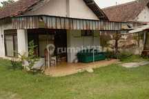 Disewakan - Rumah Flamboyan 31