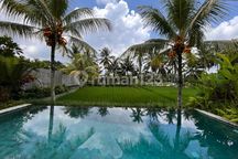 For Rent Villa Ubud See Rice Fields Bali