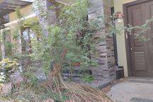 Dijual Via Lelang Rumah Bagus di Pakuwon City