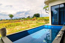 For Monthly Rent - Villa By The Rice Fields (Front View) In Ubud, Bali