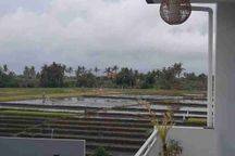 Disewakan Rumah Semi Furnished View Sawah 15 Menit Dari Canggu Bali