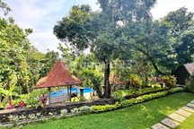 Private Estate For Rent In Lovina - 9,800 M² Land With Pool & Tropical Garden