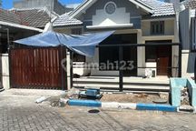 Turun Harga Owner Bu Rumah Pocan Semangka