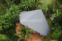 1 Bedroom Jungle View Villa With Absolute Privacy For Sale