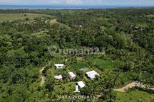 5,000 Sqm Jungle And Ricefield Villas In Medewi For Sale