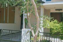 Sewa Rumah Murah Sidoarjo GRAND SURYA Jayaland dekat Juanda 13jt/th