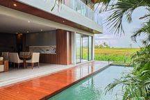 Brand new Freehold Contemporary Villa Design