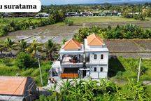 Dijual Villa Di Ubud Sibgakerta View Hamparan Sawah Dekat Central