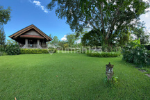 Dijual Tanah + Rumah Kayu Antik Premium Kenderan Ubud View Cantik
