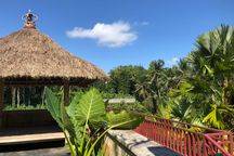 Dijual Resort Villa Cantik View Sawah Lokasi Payangan Ubud