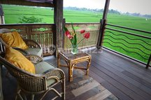 Villa Ulin Ubud - Hunian Tropis Eco-Luxury dengan Potensi Income Airbnb