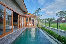 Villa Tropis Modern Ricefield View Lodtunduh Gelogor Ubud Bali