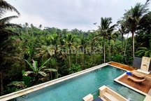 Villa Mewah Minimalis Modern Style dengan View Jungle di Tampaksiring Dekat Ubud ... Sekitar 20 Menit ke Ubud Palace dan Mongkey Forest