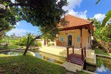 Villa With Big Garden,Ricefeld And Jungle View,In Kemenuh,Ubud