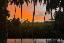 Jual Cepat! Beautiful Villa With River, Ricefield, And Sunset View In Pantai Purnama, Sukawati, Gianyar