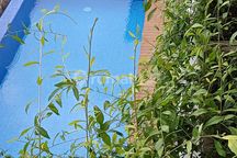 Villa 2 Lantai Shm Baru Ungasan Selatan 