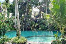 Vila Besar View Super Keren Ubud Central Harga Murah 