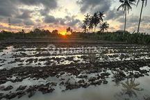Villa Leasehold 30 Tahun View Sawah Dan Sunset Siap Huni