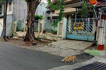 Rumah Kantor Lokasi Strategis di Singosari Timur, Semarang