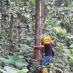 Tanah Murah Siap Bangun Lokasi Berdekatan Dengan Perumahan Serpong Garden Di Cisauk Tangerang