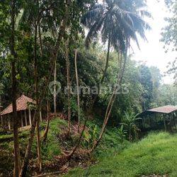 Tanah Murah Cocok Untuk Perumahan Lokasi Strategis Di Desa Sukasari Dan Desa Kahuripan Rumpin Bogor