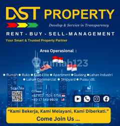 DST PROPERTY   
