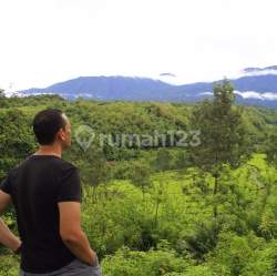 Ical Xavier Marks Menteng 