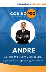 Antonius Andree 